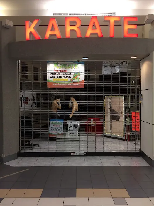 Pete's Karate Picture 1