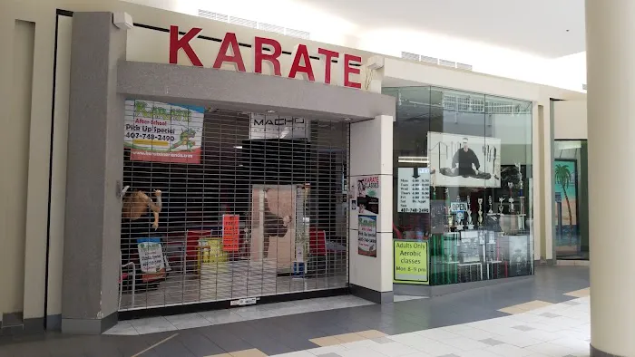 Pete's Karate Picture 2