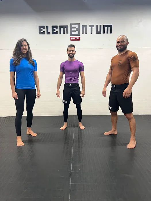 Elementum Jiu-jitsu - Winter Park Picture 4