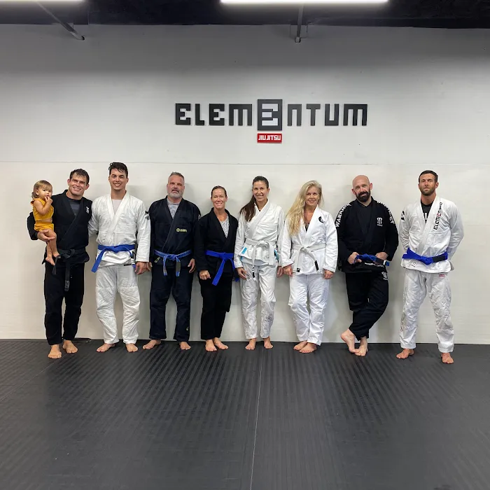 Elementum Jiu-jitsu - Winter Park Picture 7