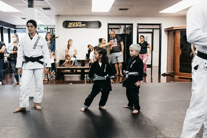 Elementum Jiu-jitsu - Winter Park Picture 8