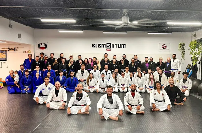 Elementum Jiu-jitsu - Winter Park Picture 5