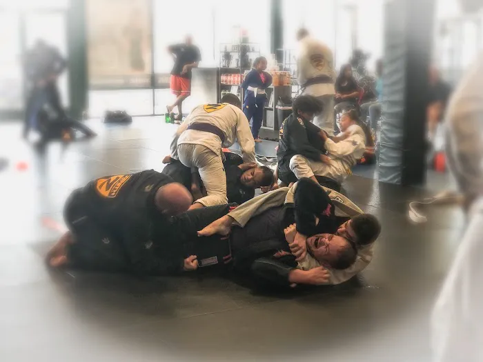Fight For Us Jiu Jitsu Picture 7