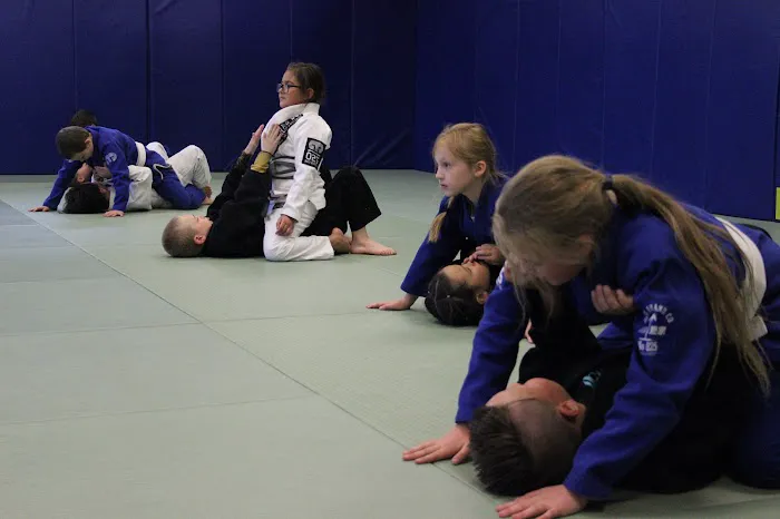 Vills Bros Brazilian Jiu-Jitsu Picture 1