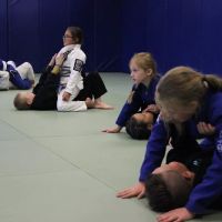 Vills Bros Brazilian Jiu-Jitsu ico