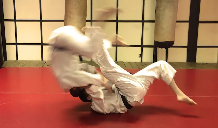 Kenukan Academy 拳友館 Picture 9