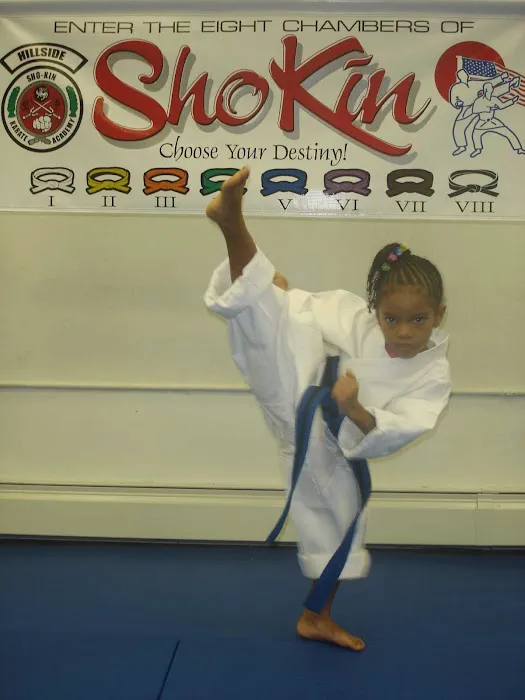 Hillside Sho-Kin Karate Academy Picture 10