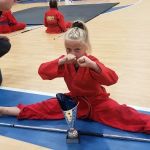 USA Karate & Fitness Springfield