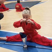 USA Karate & Fitness Springfield ico