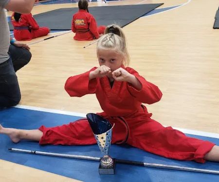 USA Karate & Fitness Springfield