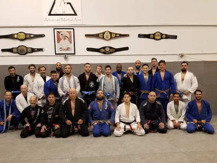 Advanced Martial Arts Picture 2