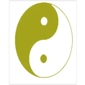 Tao Martial Arts Studio Picture 2