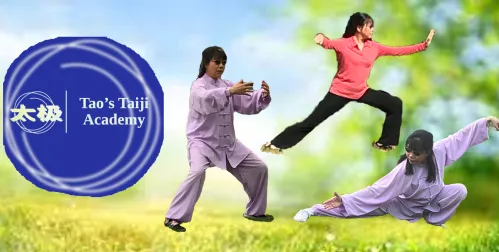 Tao's Taiji Academy Picture 1
