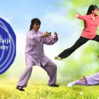 Tao's Taiji Academy ico