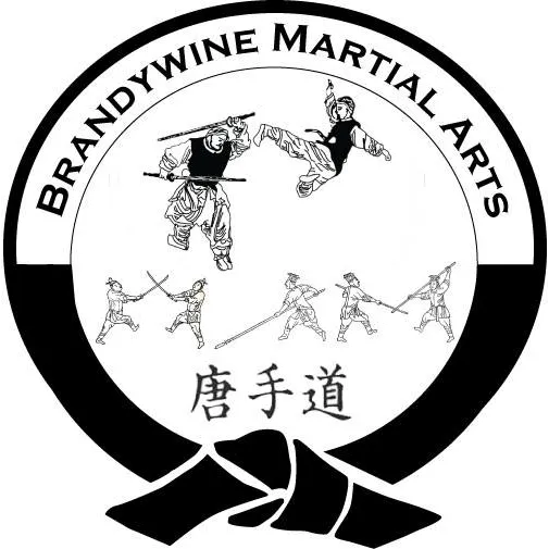 Brandywine Martial Arts Academy - Honey Brook Picture 7