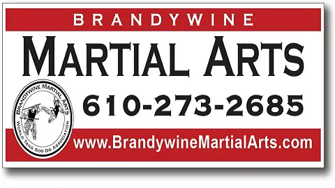 Brandywine Martial Arts Academy - Honey Brook Picture 6