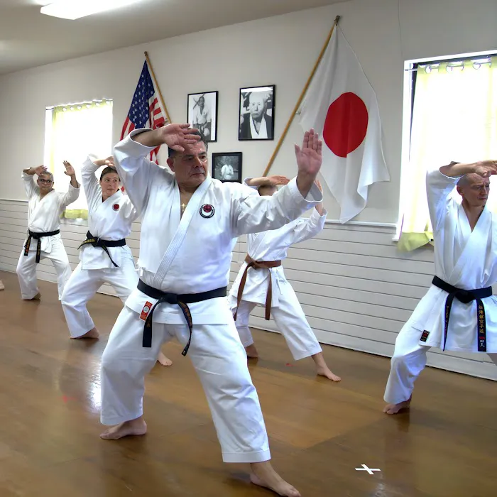 Chester County Shotokan Karate Club Picture 3
