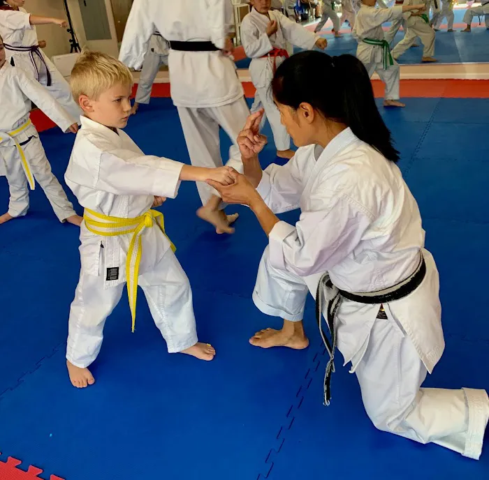 TKO Nisei Dojo Picture 3
