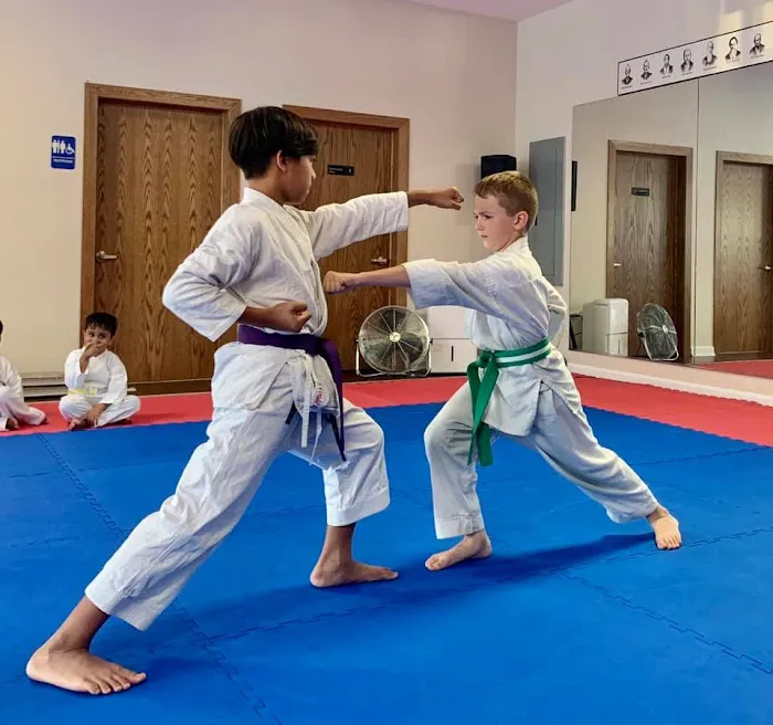 TKO Nisei Dojo Picture 2
