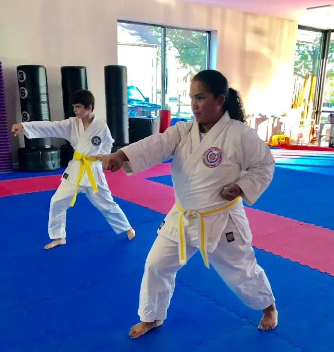 TKO Nisei Dojo Picture 10