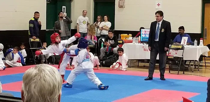 Chicago Karate Champions Picture 5