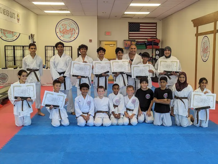 Chicago Karate Champions Picture 2