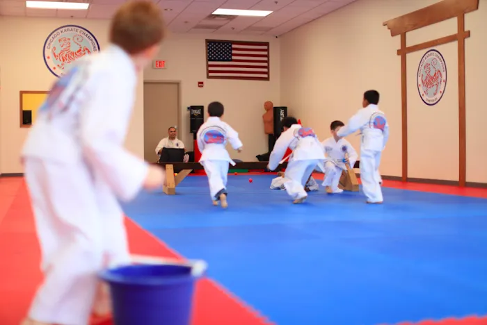Chicago Karate Champions Picture 9