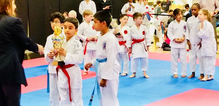 Chicago Karate Champions Picture 7