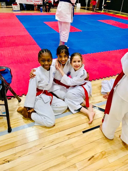 Chicago Karate Champions Picture 8
