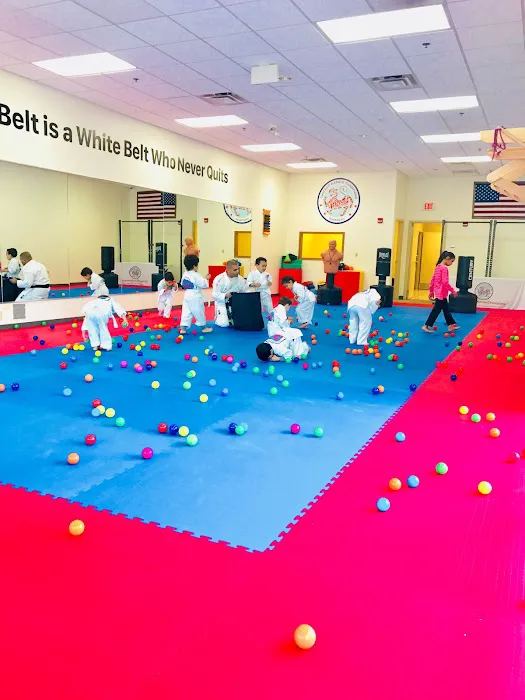 Chicago Karate Champions Picture 3