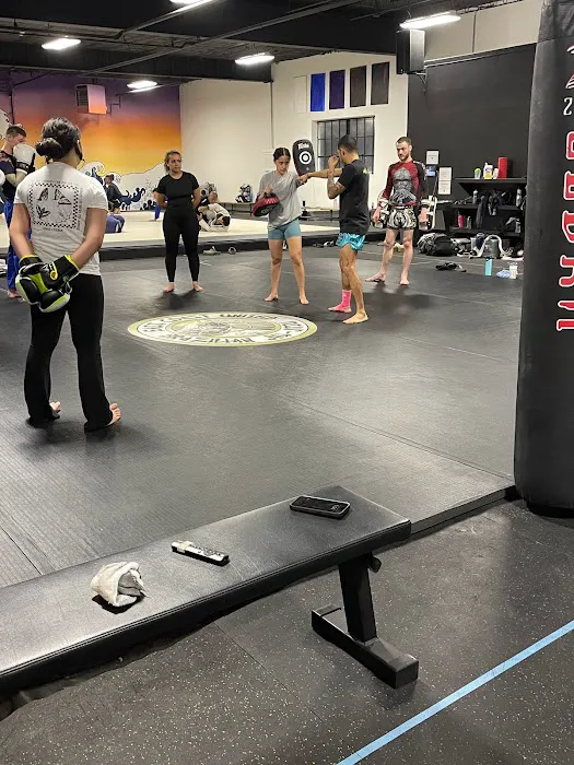 East Coast United Jiu Jitsu & Muay Thai Picture 6