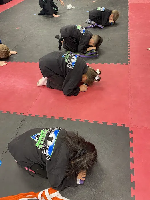 THRIVE Martial Arts Picture 5