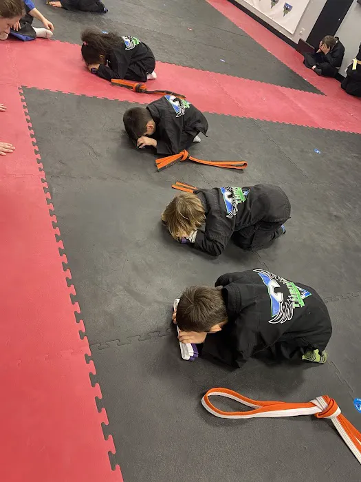 THRIVE Martial Arts Picture 1