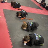 THRIVE Martial Arts ico