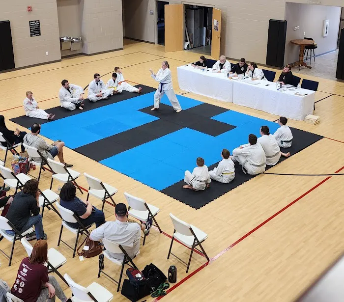 American Independent Taekwondo Picture 1