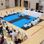 American Independent Taekwondo