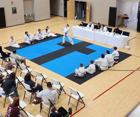 American Independent Taekwondo