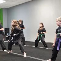 Unified Martial Arts ico