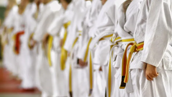 Martial Arts USA Picture 1