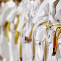 Martial Arts USA ico