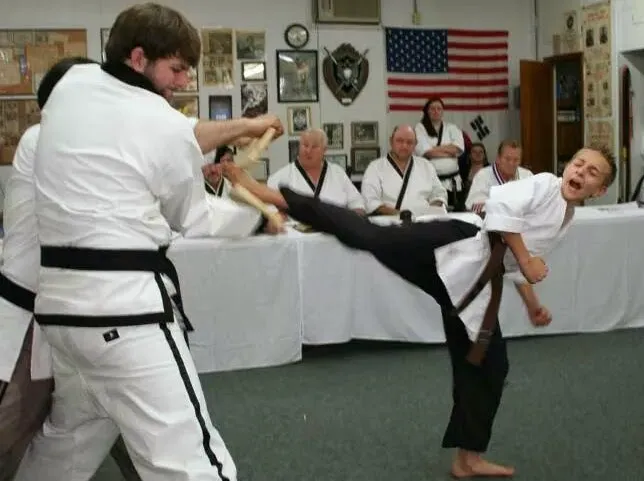 Osborns Tae Kwon Do Picture 6