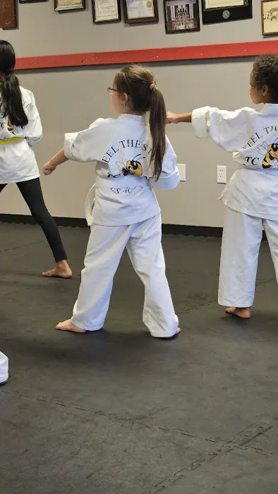 Osborns Tae Kwon Do Picture 4
