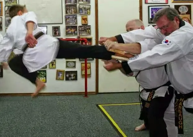 Osborns Tae Kwon Do Picture 5