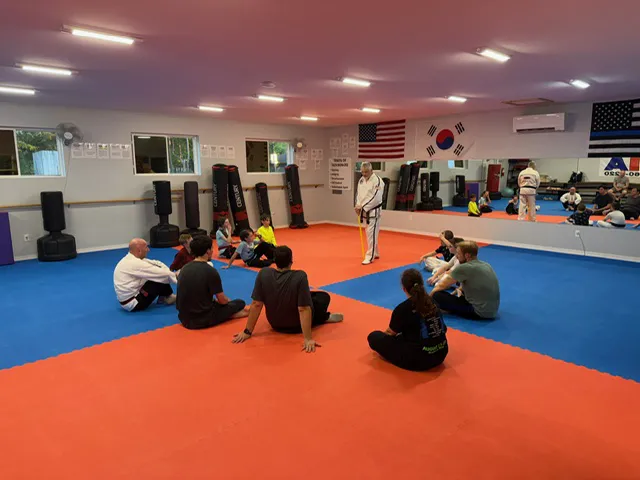 Nixa Taekwondo Academy Picture 10