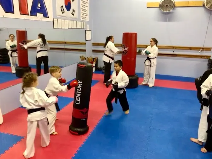Nixa Taekwondo Academy Picture 8