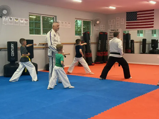 Nixa Taekwondo Academy Picture 7