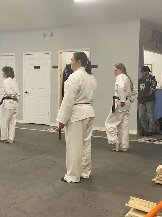 Nixa Taekwondo Academy Picture 4