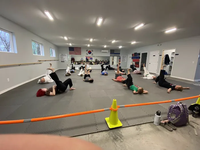 Nixa Taekwondo Academy Picture 2
