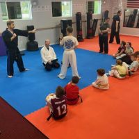 Nixa Taekwondo Academy ico