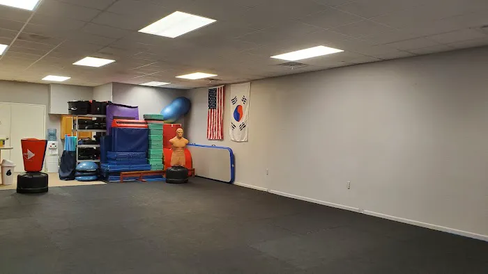 Willard TaeKwonDo Picture 2